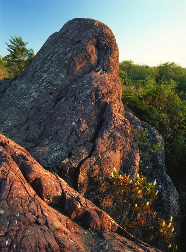 Puddingstone Outcrop, Bearfort Mountain, Wawayanda State Park, NJ (MF).jpg